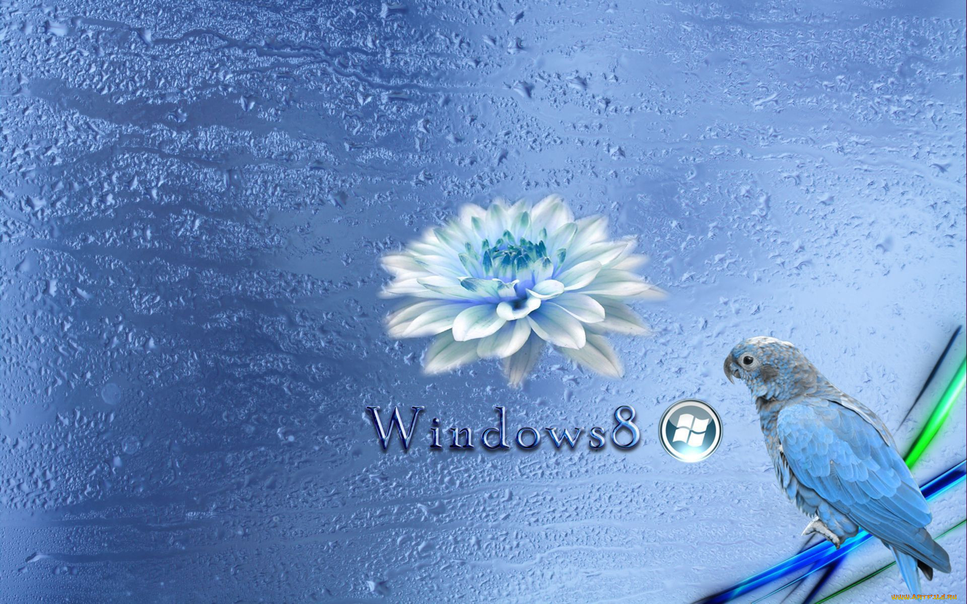 , windows 8, 